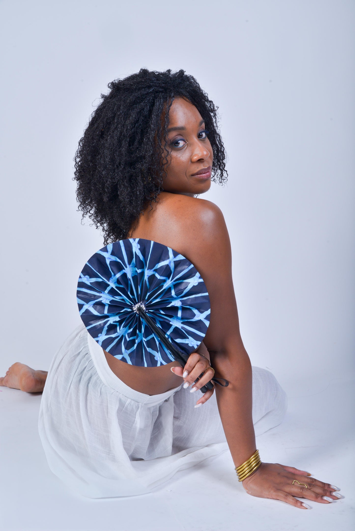 Modèle "Réseau Céleste"